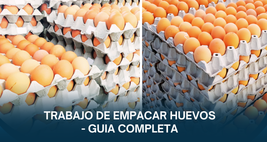 Trabajo de empacar huevos sin experiencia – guía completa