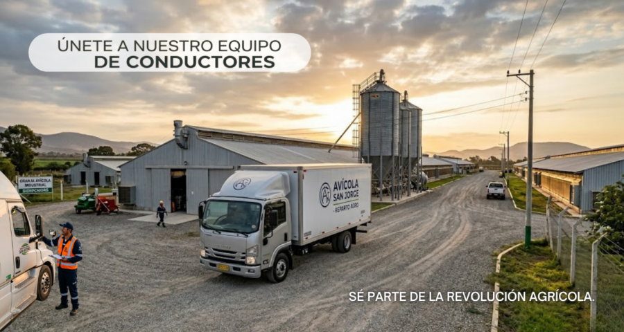 Se buscan conductores encargados del transporte en granjas y centros avícolas.